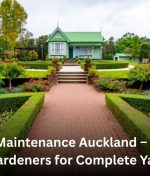 Garden Maintenance Auckland – Reliable Local Gardeners for Complete Yard Care