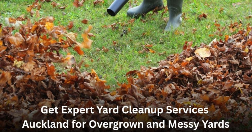 yard cleanup service blowing dry leaves on lawn in Auckland garden