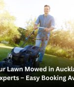 Get Your Lawn Mowed in Auckland by Local Experts – Easy Booking Available