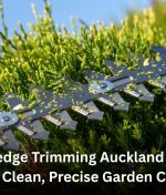 Local Hedge Trimming Auckland Experts for Clean, Precise Garden Care