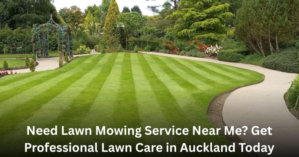 striped green lawn after professional lawn mowing service in Auckland garden