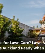 No Time for Lawn Care? Lawn Mowing Services Auckland Ready When You Are