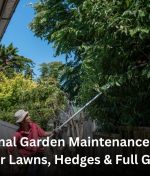 Professional Garden Maintenance Auckland Services for Lawns, Hedges & Full Garden Care