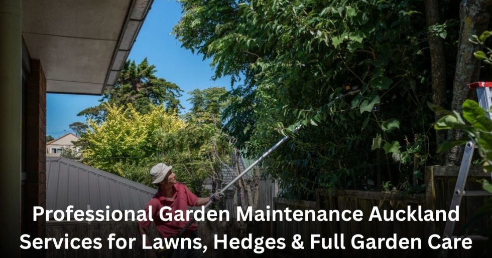 professional gardener trimming tall trees and hedges in Auckland garden maintenance service