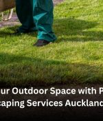 Upgrade Your Outdoor Space with Professional Landscaping Services Auckland Today
