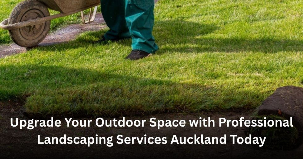 professional landscaping service installing fresh lawn turf in Auckland garden