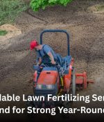 Affordable Lawn Fertilizing Services Auckland for Strong Year-Round Grass