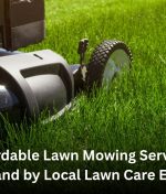 Affordable Lawn Mowing Services Auckland by Local Lawn Care Experts