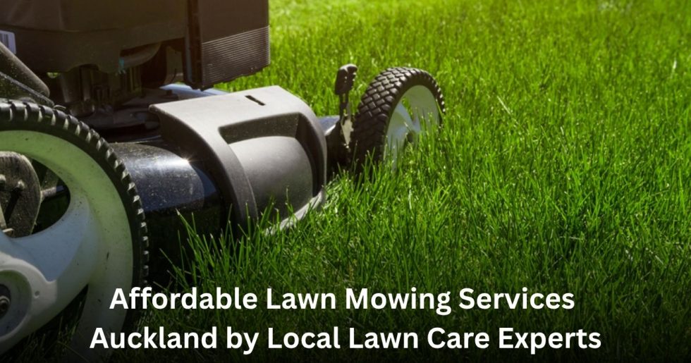 lawn mower cutting thick green grass for affordable lawn mowing services in Auckland