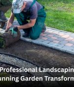 Auckland Professional Landscaping Services for Stunning Garden Transformations