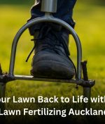 Bring Your Lawn Back to Life with Expert Lawn Fertilizing Auckland