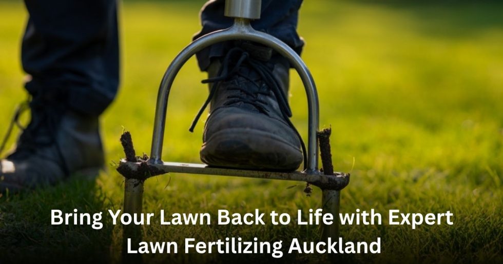 professional lawn aeration and fertilizing service for healthy grass in Auckland
