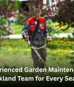 Experienced Garden Maintenance Auckland Team for Every Season