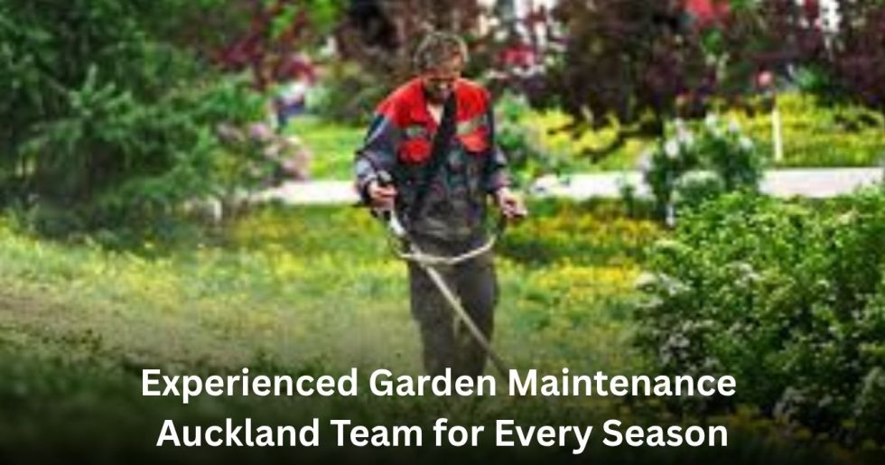 garden maintenance worker trimming grass in a residential garden in Auckland