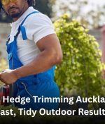 Expert Hedge Trimming Auckland for Fast, Tidy Outdoor Results