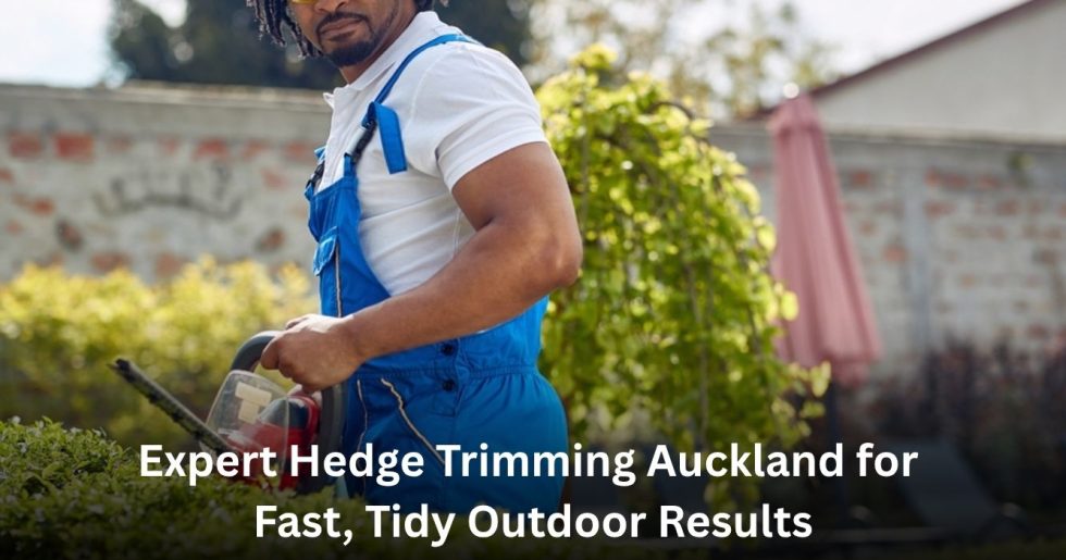 professional hedge trimming service in Auckland using hedge trimmer on garden hedges