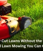 Freshly Cut Lawns Without the Stress – Auckland Lawn Mowing You Can Count On