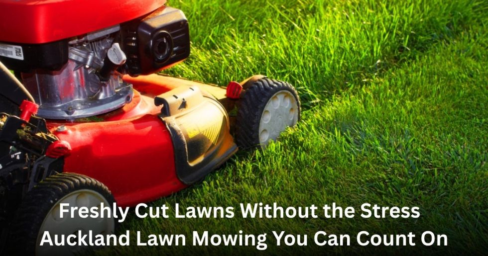 red lawn mower cutting green grass for professional lawn mowing services in Auckland