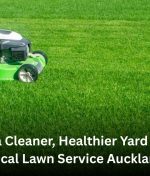 Get a Cleaner, Healthier Yard with Local Lawn Service Auckland