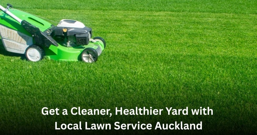 green lawn being maintained with professional local lawn service in Auckland
