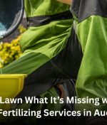Give Your Lawn What It’s Missing with Expert Lawn Fertilizing Services in Auckland