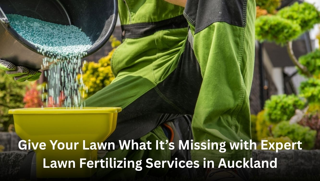 Give Your Lawn What It’s Missing with Expert Lawn Fertilizing Services ...