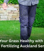 Keep Your Grass Healthy with Local Lawn Fertilizing Auckland Services