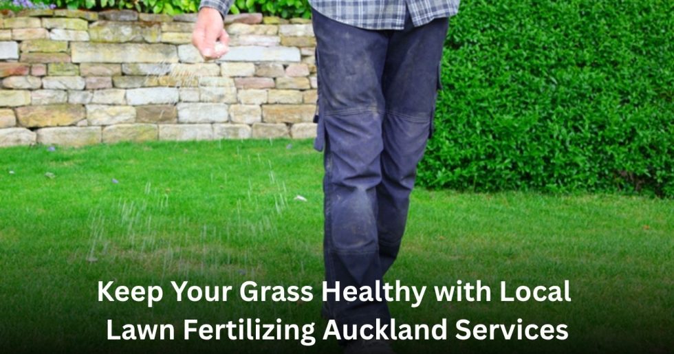 professional applying lawn fertilizer on healthy green grass in Auckland garden