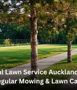 Local Lawn Service Auckland for Regular Mowing & Lawn Care