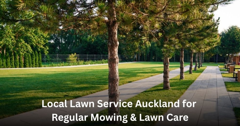 well-maintained green lawn and pathway for professional lawn service in Auckland