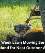 Same Week Lawn Mowing Services Auckland for Neat Outdoor Areas