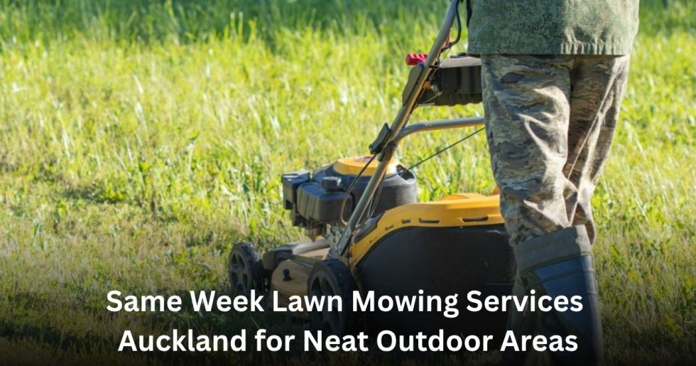 professional providing same week lawn mowing service in Auckland residential yard
