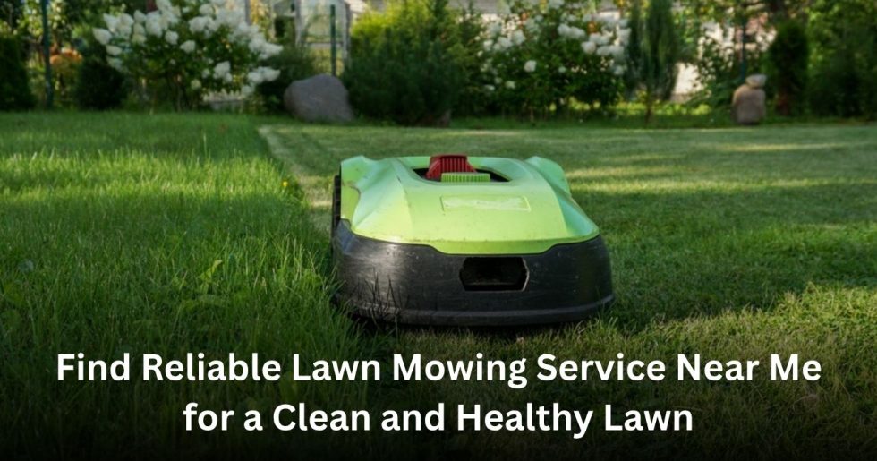 professional lawn mowing service maintaining a green and healthy residential lawn near me