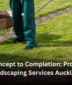From Concept to Completion: Professional Landscaping Services Auckland