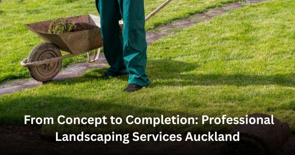 professional landscaping service creating and maintaining a landscaped garden area in Auckland