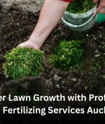 Get Better Lawn Growth with Professional Lawn Fertilizing Services Auckland