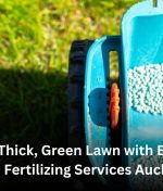 Get a Thick, Green Lawn with Expert Lawn Fertilizing Services Auckland