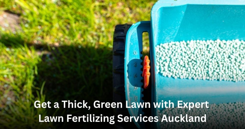 lawn fertilizer spreader applying granular fertilizer to improve lawn growth in Auckland