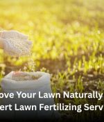 Improve Your Lawn Naturally with Expert Lawn Fertilizing Services