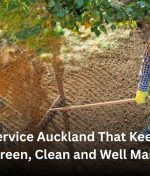 Lawn Service Auckland That Keeps Your Grass Green, Clean and Well Maintained