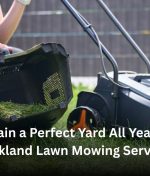 Maintain a Perfect Yard All Year with Auckland Lawn Mowing Services