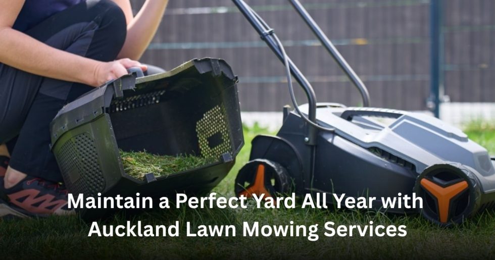 professional lawn mowing service maintaining a clean and healthy residential yard in Auckland