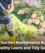 Regular Garden Maintenance Auckland for Healthy Lawns and Tidy Gardens