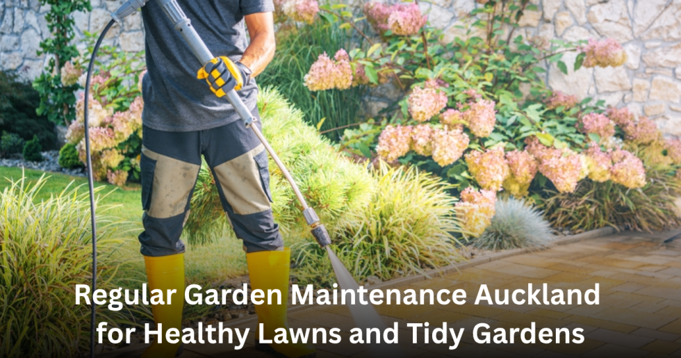 professional garden maintenance worker cleaning and pressure washing an Auckland garden pathway