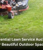 Residential Lawn Service Auckland for Beautiful Outdoor Spaces