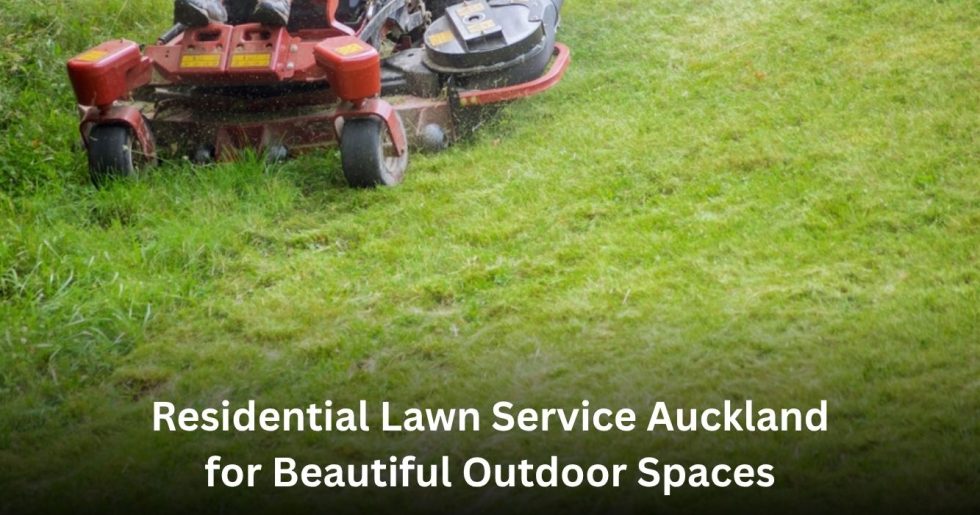 residential lawn mowing service maintaining a large grass area at an Auckland property