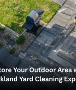 Restore Your Outdoor Area with Auckland Yard Cleaning Experts