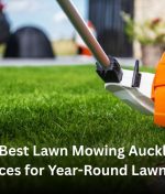 The Best Lawn Mowing Auckland Services for Year-Round Lawn Care