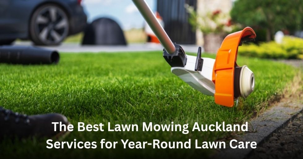 professional lawn mowing Auckland service maintaining a healthy residential lawn