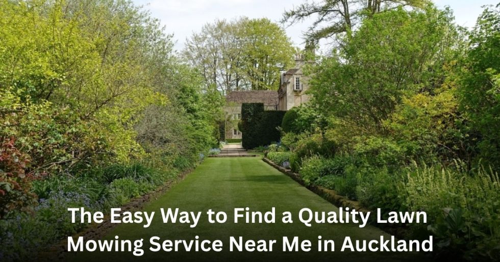 well-maintained residential lawn and garden maintained by a professional lawn mowing service in Auckland
